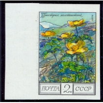 СССР. 1976. СК 4596 var. Без перфорации.