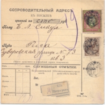 РСФСР. 1919. Сопроводительный адрес к посылке из Петрограда 29.03.1919.