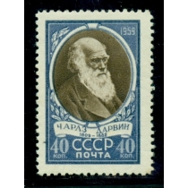 СССР. СК N 2189**. Линейка 12,5. 60% каталожной цены.