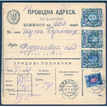 Украина. УНР. Бланк УНР к ценной посылке из Бердичева 02.01.1919.