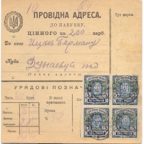 УНР. 1919. Бланк денежного перевода из Бердичева 02.01.1919.