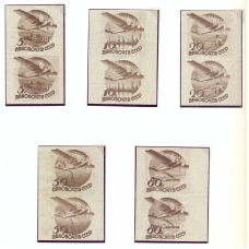 СССР. 1934. СК N 355-59. Пробы.