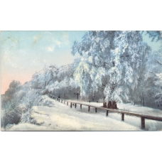 Украина. Киев. Зима. Алея Царского сада.